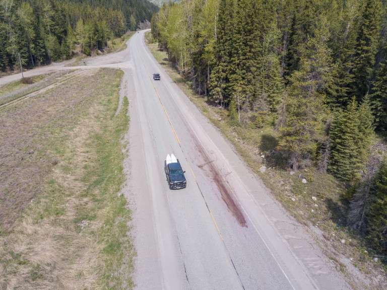 A long red streak shows where an animal was killed on Highway 3